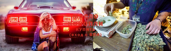 каннабис Алзамай